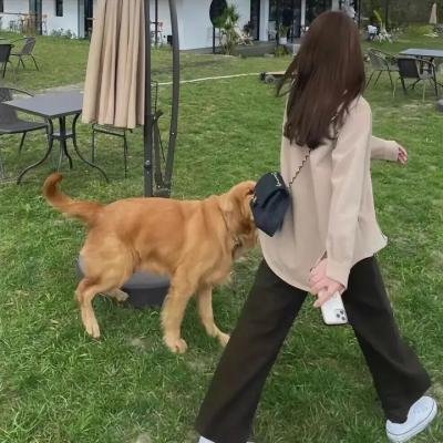 完美嫌疑人
